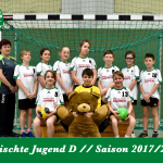 Gemischte Jugend D Saison 2017/18