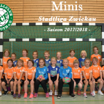 Minis Stadtliga Zwickau Saison 2017/2018